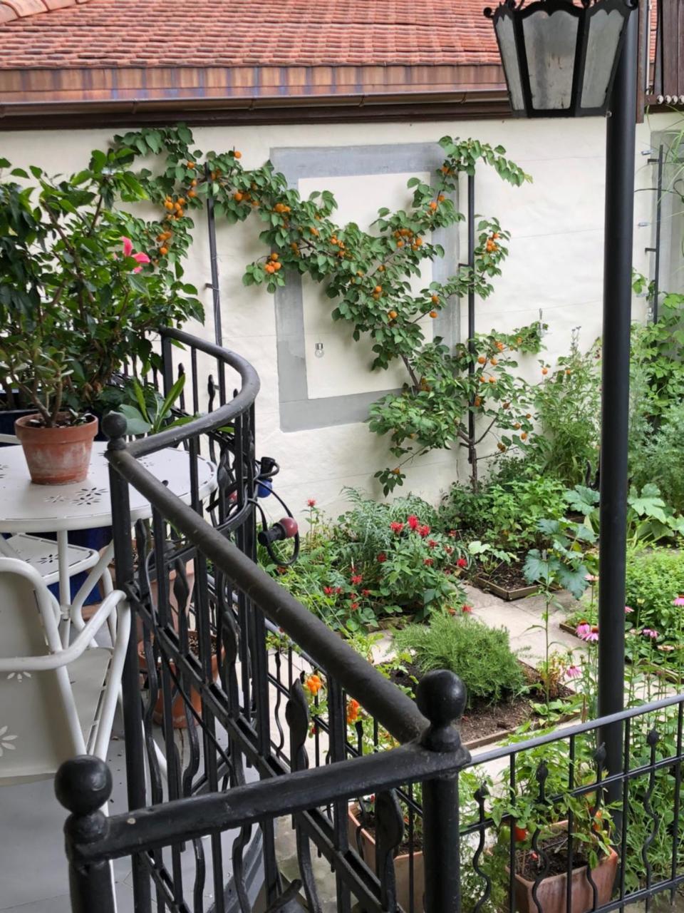 Good4Yew Bnb Zurique Exterior foto